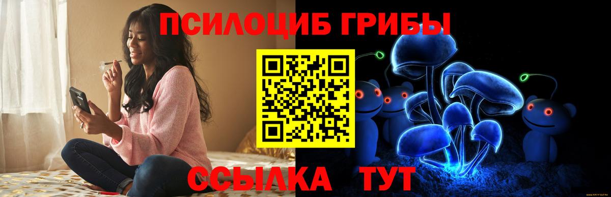 Галлюциногенные грибы Psilocybine cubensis  Вход с VPN  где купить наркоту  Тавда 